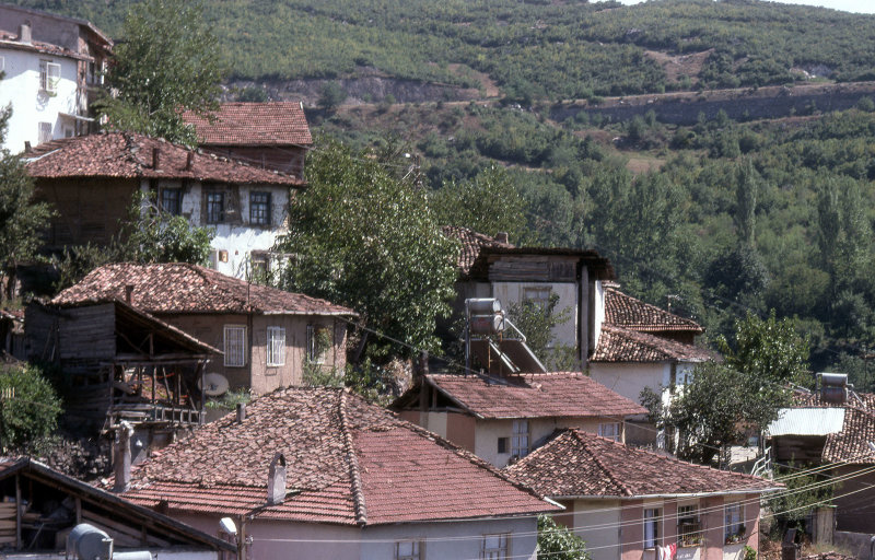 Black sea Niksar x 065.jpg