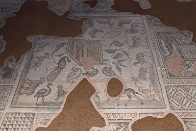 Adana Archaeological Museum Noah's Ark Mosaic 0404.jpg