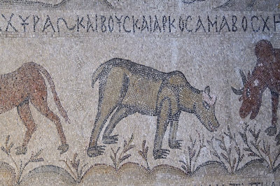 Adana Archaeological Museum Peaceful Kingdom Mosaic 0786.jpg