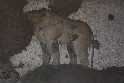 Istanbul Mosaic museum Lioness and cub june 2019 2502.jpg