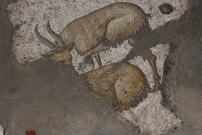 Istanbul Mosaic museum Mountain goats june 2019 2517.jpg