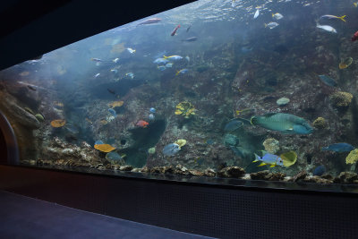 Istanbul Istanbul Aquarium oct 2019 7000.jpg
