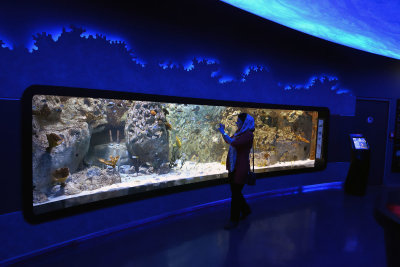 Istanbul Istanbul Aquarium oct 2019 7022.jpg