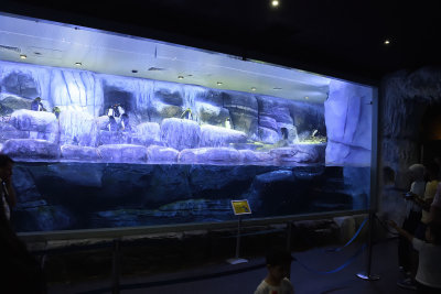 Istanbul Istanbul Aquarium oct 2019 7057.jpg
