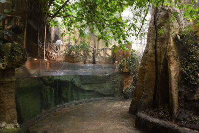 Istanbul Istanbul Aquarium oct 2019 7059.jpg
