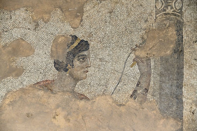 Urfa Haleplibahce Museum Achilles mosaic sept 2019 5113.jpg