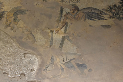 Urfa Haleplibahce Museum Achilles mosaic sept 2019 5116.jpg