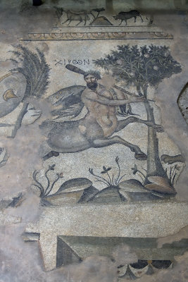 Urfa Haleplibahce Museum Achilles mosaic sept 2019 5119.jpg