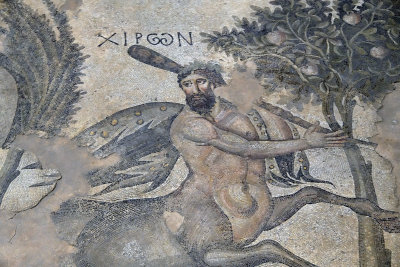 Urfa Haleplibahce Museum Achilles mosaic sept 2019 5120.jpg