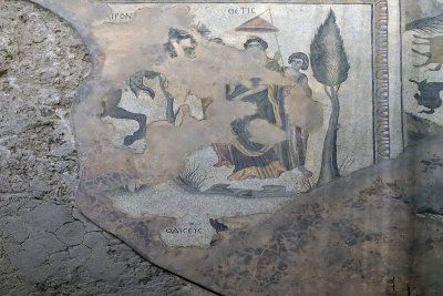 Urfa Haleplibahce Museum Achilles mosaic sept 2019 5122.jpg