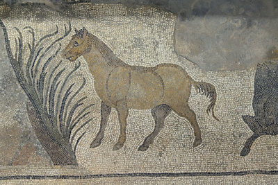 Urfa Haleplibahce Museum Achilles mosaic sept 2019 5130.jpg