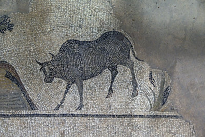 Urfa Haleplibahce Museum Achilles mosaic sept 2019 5136.jpg
