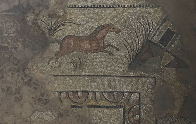 Urfa Haleplibahce Museum Achilles mosaic sept 2019 5165.jpg
