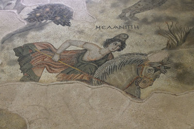 Urfa Haleplibahce Museum Hunting Amazons mosaic sept 2019 5179.jpg