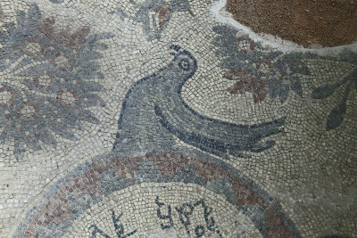 Urfa Haleplibahce Museum Yorbilen mosaic sept 2019 5235.jpg