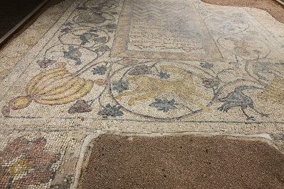 Urfa Haleplibahce Museum Asagi Basak Mosaic sept 2019 5221.jpg
