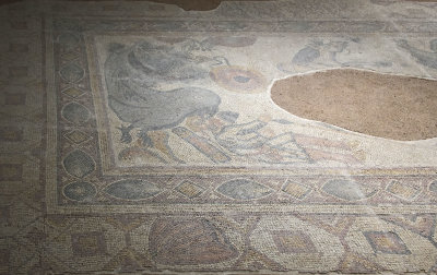 Urfa Haleplibahce Museum Hazinedere mosaic sept 2019 5225.jpg