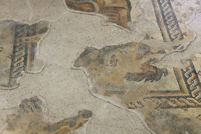 Urfa Haleplibahce Museum Name unclear mosaic sept 2019 5171.jpg