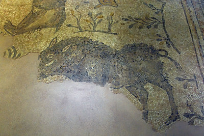 Gaziantep Zeugma museum Koclu mosaic sept 2019 4180.jpg