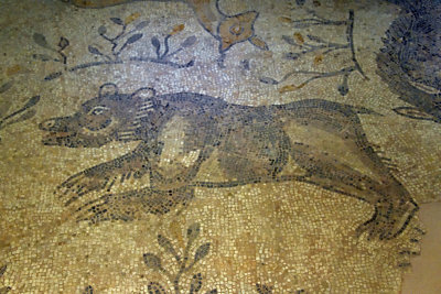 Gaziantep Zeugma museum Koclu mosaic sept 2019 4181.jpg