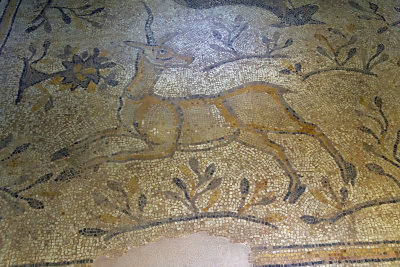 Gaziantep Zeugma museum Koclu mosaic sept 2019 4182.jpg