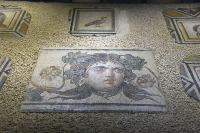 Maenads mosaic fragments