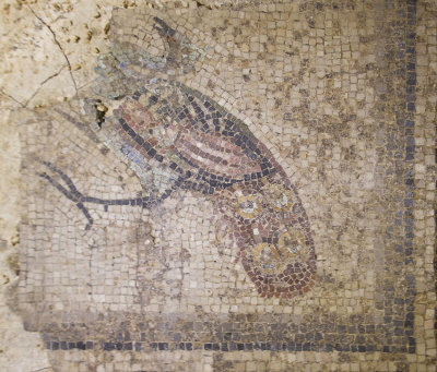 Gaziantep Zeugma museum Maenads mosaic sept 20195595.jpg