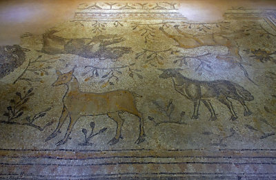Gaziantep Zeugma museum Koclu mosaic sept 2019 4183.jpg