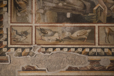Antakya Museum Hotel Animal border of mosaic sept 2019 5653.jpg