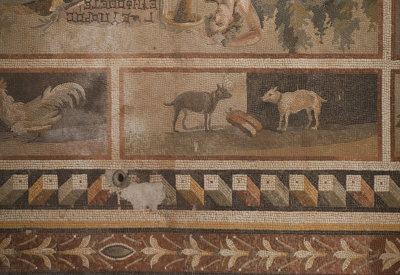 Antakya Museum Hotel Animal border of mosaic sept 2019 5656.jpg