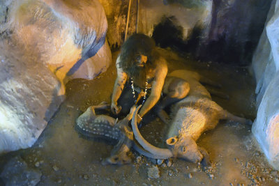 Antakya Archaeology Museum Cave dwelling sept 2019 5752.jpg