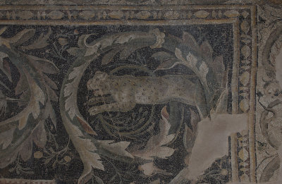 Antakya Archaeology Museum Birth of Venus mosaic sept 2019 5986.jpg