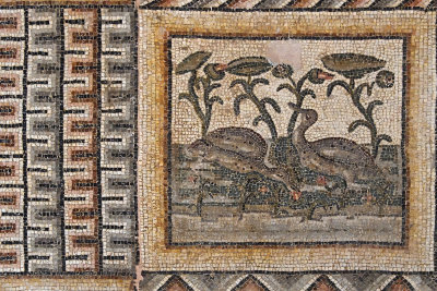 Antakya Archaeology Museum inv 898-901 mosaic sept 2019 6159.jpg