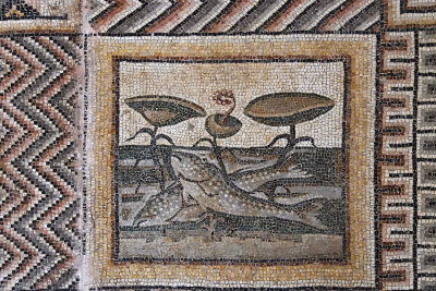 Antakya Archaeology Museum inv 898-901 mosaic sept 2019 6160.jpg