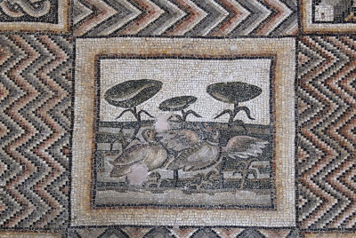 Antakya Archaeology Museum inv 898-901 mosaic sept 2019 6161.jpg
