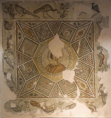 Antakya Archaeology Museum Inv 869 Birds mosaic sept 2019 6122.jpg