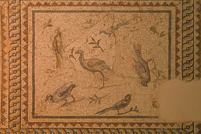 Antakya Archaeology Museum Birds 2 mosaic sept 2019 6089.jpg
