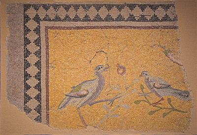 Antakya Archaeology Museum Birds mosaic sept 2019 6200.jpg