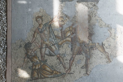 Adana Archaeological Museum Dirke punishment mosaic sept 2019 6500.jpg