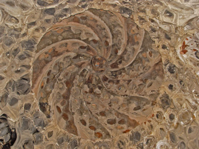 İsmail bey hamamı 5149.jpg