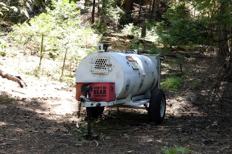 A bear trap