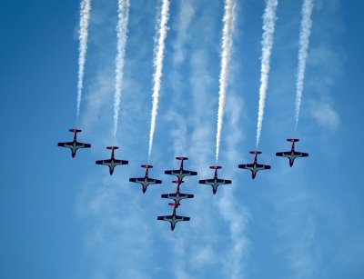 The Canadian Snowbirds Demonstration Team