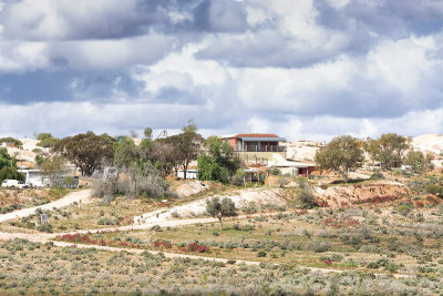 White Cliff 2.jpg