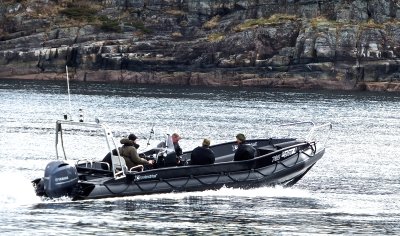 Viken HD2 - Rongesundet 11.04.2019