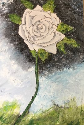 Wild White Rose of Yorkshire painted on canvas ready for Holmfirth Artweek