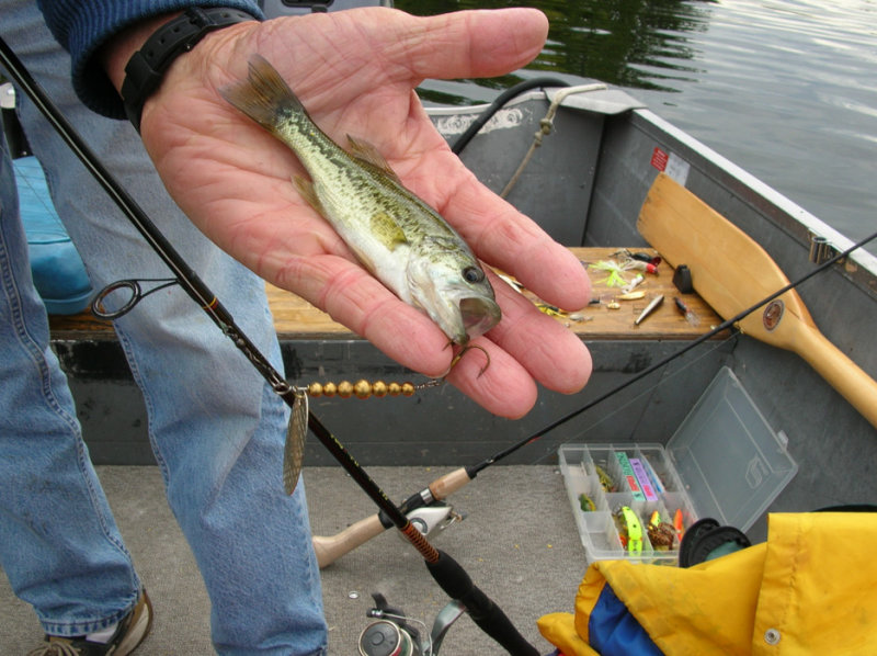 DSCN0110.jpg