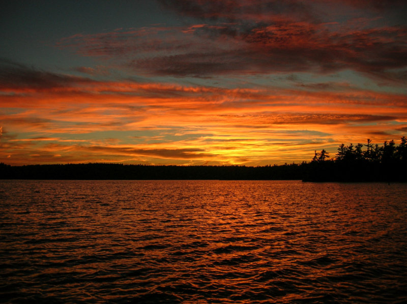 DSCN0118.jpg
