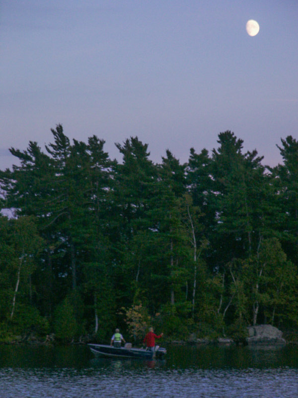 PICT8381.jpg