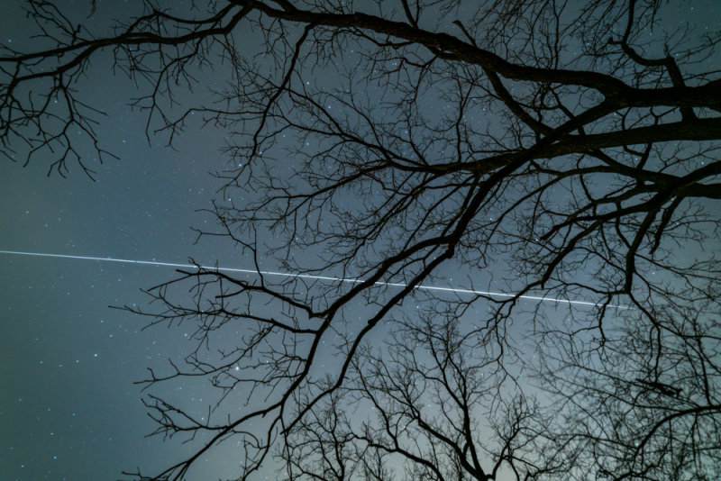 _DSC4145B.jpg