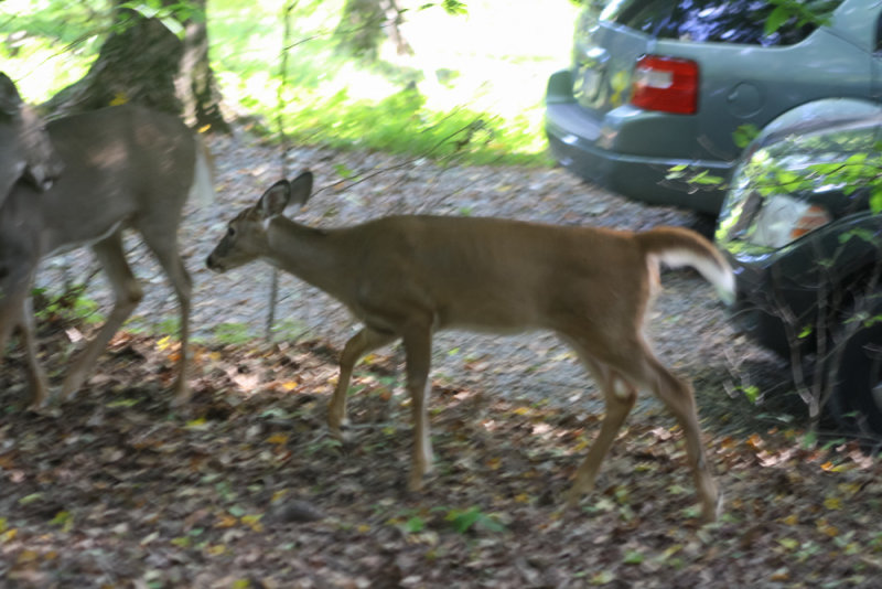 IMG_5728.jpg